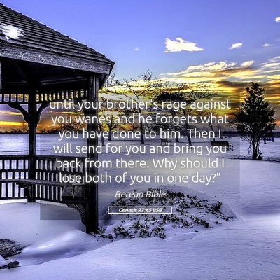 Picture 05 - Genesis 27:45 BSB - until your brother’s rage against you wanes and - Bible Verse Picture