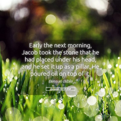 Picture 05 - Genesis 28:18 BSB - Early the next morning, Jacob took the stone that - Bible Verse Picture