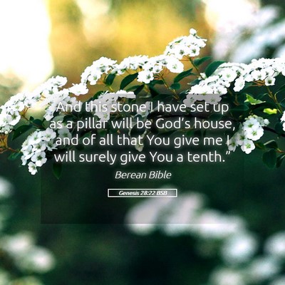 Picture 05 - Genesis 28:22 BSB - And this stone I have set up as a pillar will be - Bible Verse Picture