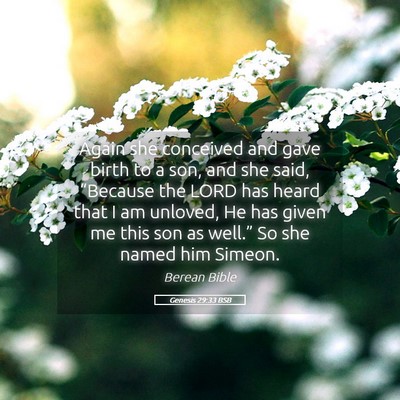 Picture 05 - Genesis 29:33 BSB - Again she conceived and gave birth to a son, and - Bible Verse Picture