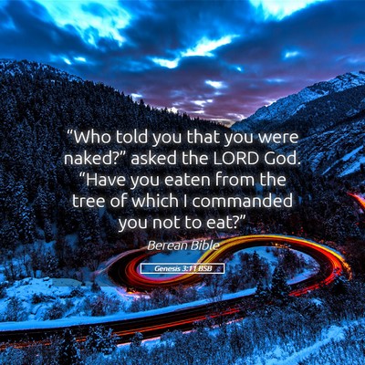 Picture 05 - Genesis 3:11 BSB - “Who told you that you were naked?” asked the - Bible Verse Picture