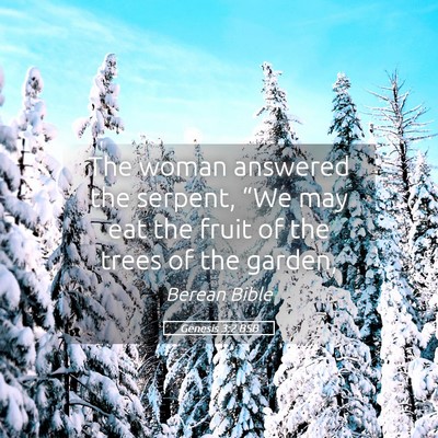 Picture 05 - Genesis 3:2 BSB - The woman answered the serpent, “We may eat the - Bible Verse Picture