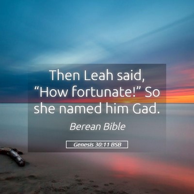 Picture 05 - Genesis 30:11 BSB - Then Leah said, “How fortunate!” So she named - Bible Verse Picture