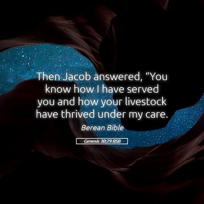 Picture 05 - Genesis 30:29 BSB - Then Jacob answered, “You know how I have - Bible Verse Picture