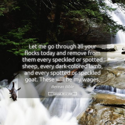 Picture 05 - Genesis 30:32 BSB - Let me go through all your flocks today and - Bible Verse Picture