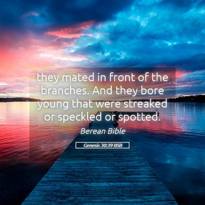 Picture 05 - Genesis 30:39 BSB - they mated in front of the branches. And they - Bible Verse Picture