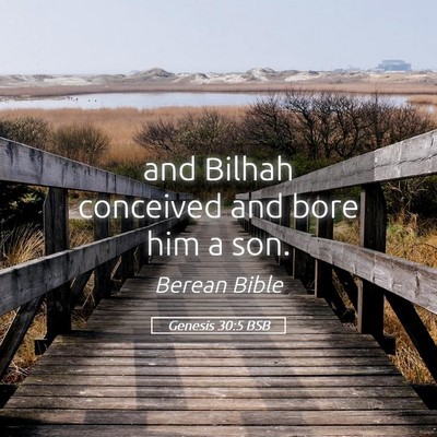 Picture 05 - Genesis 30:5 BSB - and Bilhah conceived and bore him a - Bible Verse Picture