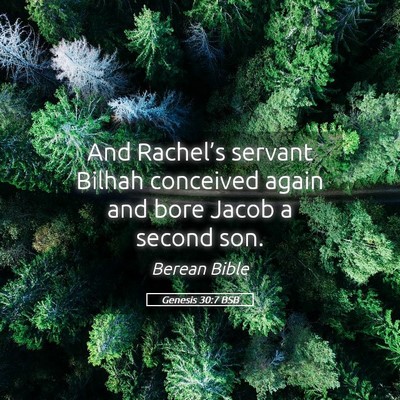 Picture 05 - Genesis 30:7 BSB - And Rachel’s servant Bilhah conceived again and - Bible Verse Picture