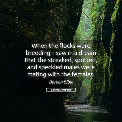 Picture 05 - Genesis 31:10 BSB - When the flocks were breeding, I saw in a dream - Bible Verse Picture