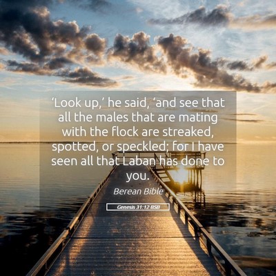 Picture 05 - Genesis 31:12 BSB - ‘Look up,’ he said, ‘and see that all the - Bible Verse Picture