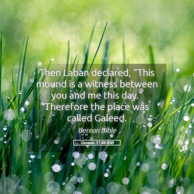 Picture 05 - Genesis 31:48 BSB - Then Laban declared, “This mound is a witness - Bible Verse Picture