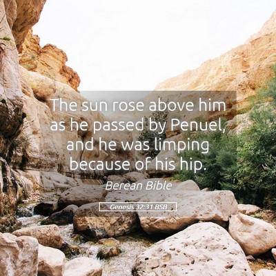 Picture 05 - Genesis 32:31 BSB - The sun rose above him as he passed by Penuel, - Bible Verse Picture