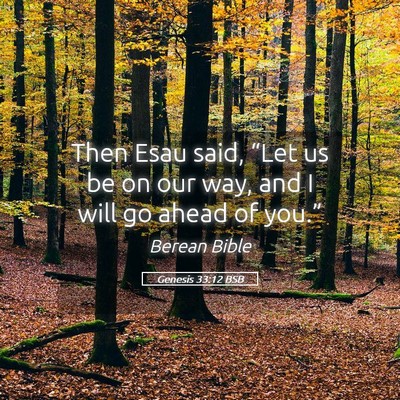 Picture 05 - Genesis 33:12 BSB - Then Esau said, “Let us be on our way, and I - Bible Verse Picture