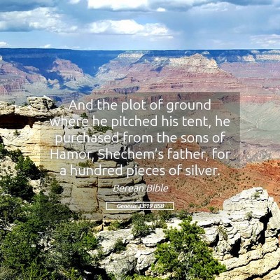 Picture 05 - Genesis 33:19 BSB - And the plot of ground where he pitched his tent, - Bible Verse Picture
