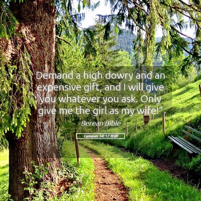 Picture 05 - Genesis 34:12 BSB - Demand a high dowry and an expensive gift, and I - Bible Verse Picture