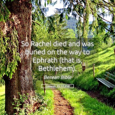 Picture 05 - Genesis 35:19 BSB - So Rachel died and was buried on the way to - Bible Verse Picture