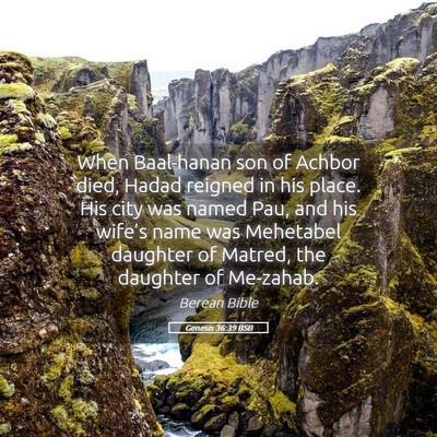 Picture 05 - Genesis 36:39 BSB - When Baal-hanan son of Achbor died, Hadad reigned - Bible Verse Picture