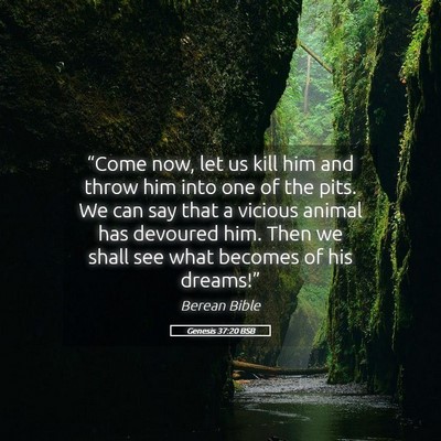 Picture 05 - Genesis 37:20 BSB - “Come now, let us kill him and throw him into - Bible Verse Picture