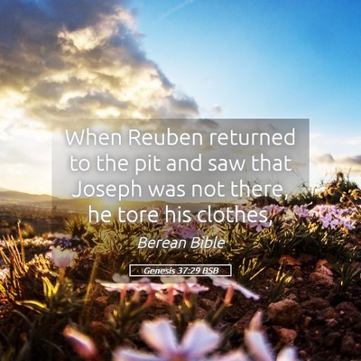 Picture 05 - Genesis 37:29 BSB - When Reuben returned to the pit and saw that - Bible Verse Picture