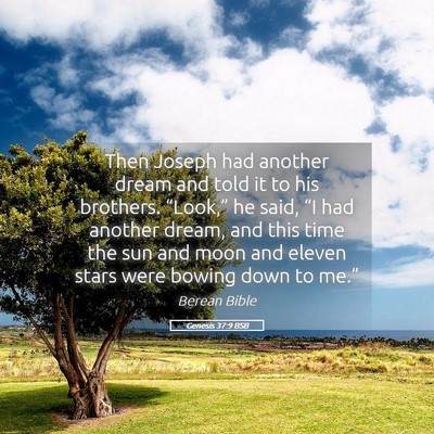 Picture 05 - Genesis 37:9 BSB - Then Joseph had another dream and told it to his - Bible Verse Picture