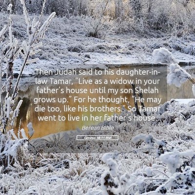 Picture 05 - Genesis 38:11 BSB - Then Judah said to his daughter-in-law Tamar, - Bible Verse Picture