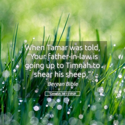 Picture 05 - Genesis 38:13 BSB - When Tamar was told, “Your father-in-law is - Bible Verse Picture