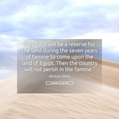 Picture 05 - Genesis 41:36 BSB - This food will be a reserve for the land during - Bible Verse Picture