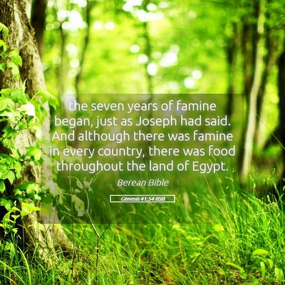 Picture 05 - Genesis 41:54 BSB - the seven years of famine began, just as Joseph - Bible Verse Picture