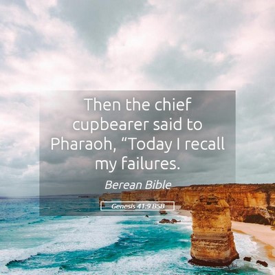 Picture 05 - Genesis 41:9 BSB - Then the chief cupbearer said to Pharaoh, - Bible Verse Picture