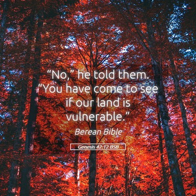 Picture 05 - Genesis 42:12 BSB - “No,” he told them. “You have come to see - Bible Verse Picture
