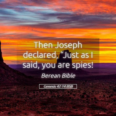 Picture 05 - Genesis 42:14 BSB - Then Joseph declared, “Just as I said, you are - Bible Verse Picture