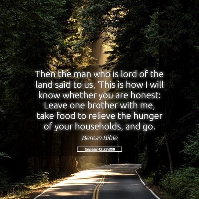 Picture 05 - Genesis 42:33 BSB - Then the man who is lord of the land said to us, - Bible Verse Picture