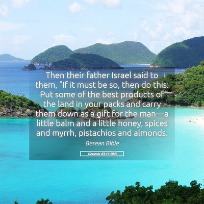 Picture 05 - Genesis 43:11 BSB - Then their father Israel said to them, “If it - Bible Verse Picture