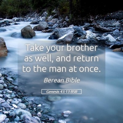 Picture 05 - Genesis 43:13 BSB - Take your brother as well, and return to the man - Bible Verse Picture