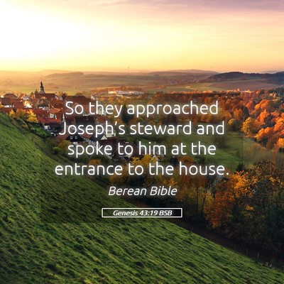 Picture 05 - Genesis 43:19 BSB - So they approached Joseph’s steward and spoke - Bible Verse Picture