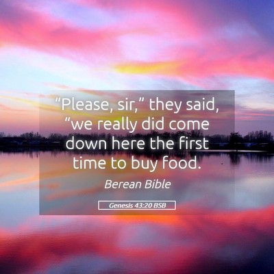 Picture 05 - Genesis 43:20 BSB - “Please, sir,” they said, “we really did - Bible Verse Picture
