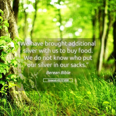 Picture 05 - Genesis 43:22 BSB - We have brought additional silver with us to buy - Bible Verse Picture