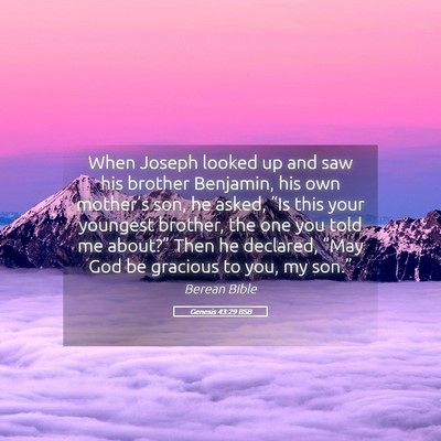 Picture 05 - Genesis 43:29 BSB - When Joseph looked up and saw his brother - Bible Verse Picture