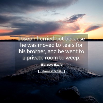 Picture 05 - Genesis 43:30 BSB - Joseph hurried out because he was moved to tears - Bible Verse Picture