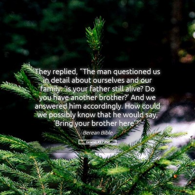 Picture 05 - Genesis 43:7 BSB - They replied, “The man questioned us in detail - Bible Verse Picture