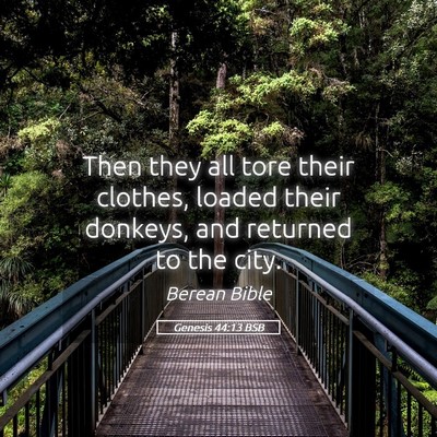 Picture 05 - Genesis 44:13 BSB - Then they all tore their clothes, loaded their - Bible Verse Picture