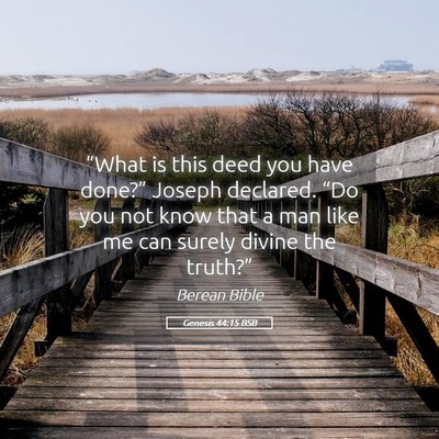 Picture 05 - Genesis 44:15 BSB - “What is this deed you have done?” Joseph - Bible Verse Picture