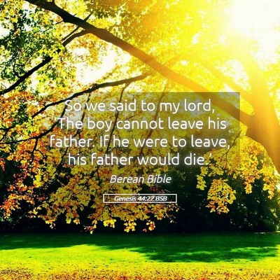 Picture 05 - Genesis 44:22 BSB - So we said to my lord, ‘The boy cannot leave - Bible Verse Picture