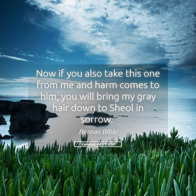 Picture 05 - Genesis 44:29 BSB - Now if you also take this one from me and harm - Bible Verse Picture