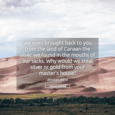 Picture 05 - Genesis 44:8 BSB - We even brought back to you from the land of - Bible Verse Picture