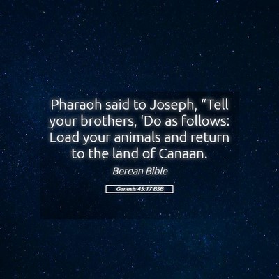 Picture 05 - Genesis 45:17 BSB - Pharaoh said to Joseph, “Tell your brothers, - Bible Verse Picture