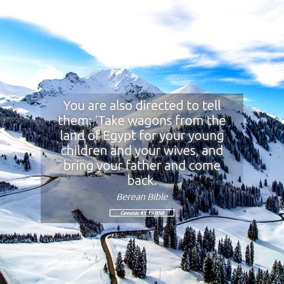 Picture 05 - Genesis 45:19 BSB - You are also directed to tell them: ‘Take - Bible Verse Picture