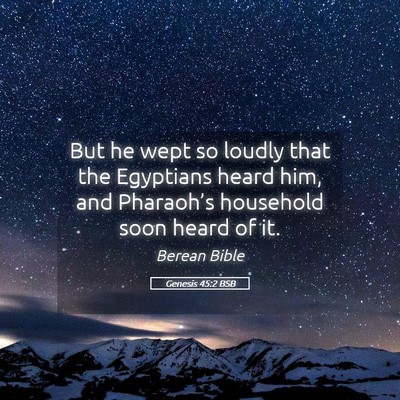 Picture 05 - Genesis 45:2 BSB - But he wept so loudly that the Egyptians heard - Bible Verse Picture