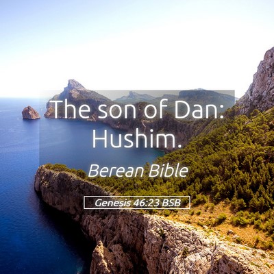 Picture 05 - Genesis 46:23 BSB - The son of Dan: - Bible Verse Picture