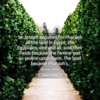 Picture 05 - Genesis 47:20 BSB - So Joseph acquired for Pharaoh all the land in - Bible Verse Picture